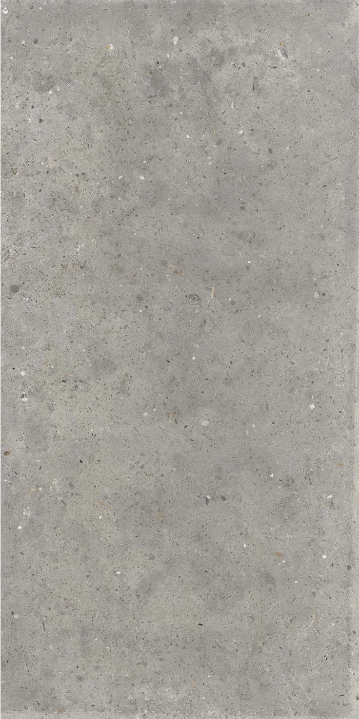 Poetry Stone Piret Grey 60x120